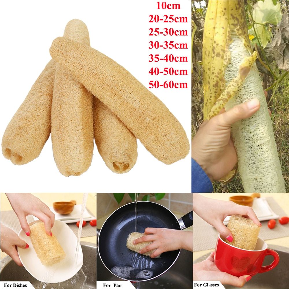 Natural Loofah Luffa Sponge No - Body Loofah Natural avis et prix