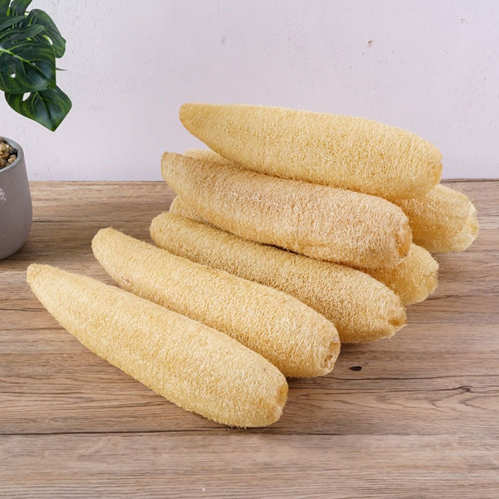 Natural Loofah Luffa Sponge No - Body Loofah Natural avis et prix