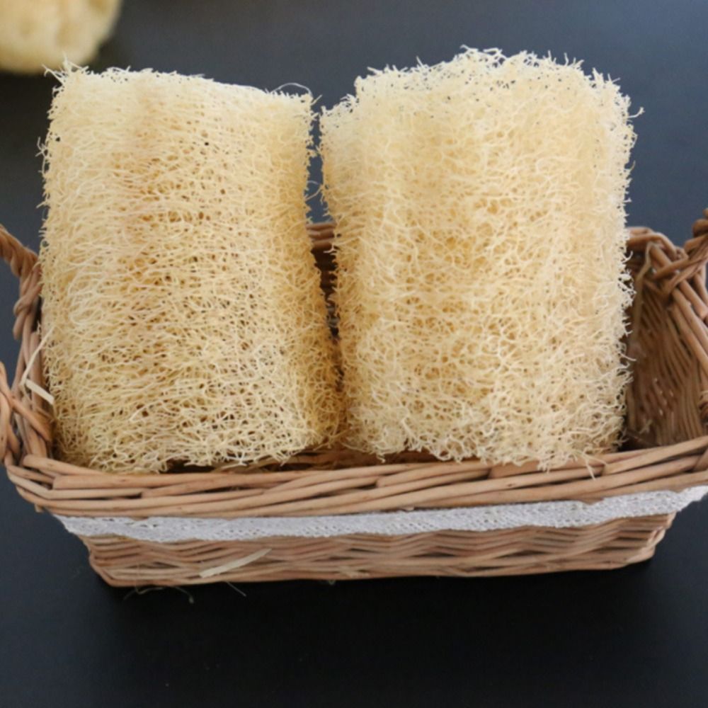Natural Loofah Luffa Sponge No - Body Loofah Natural avis et prix