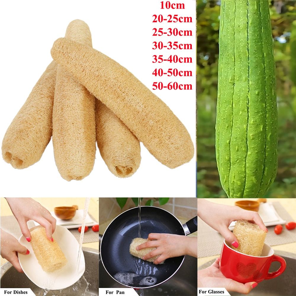 Natural Loofah Luffa Sponge Lo - Body Loofah Natural avis et prix